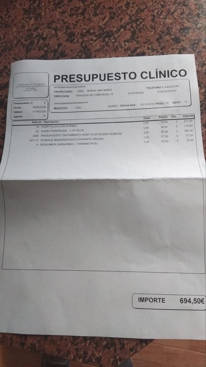 Factura veterinaria 2